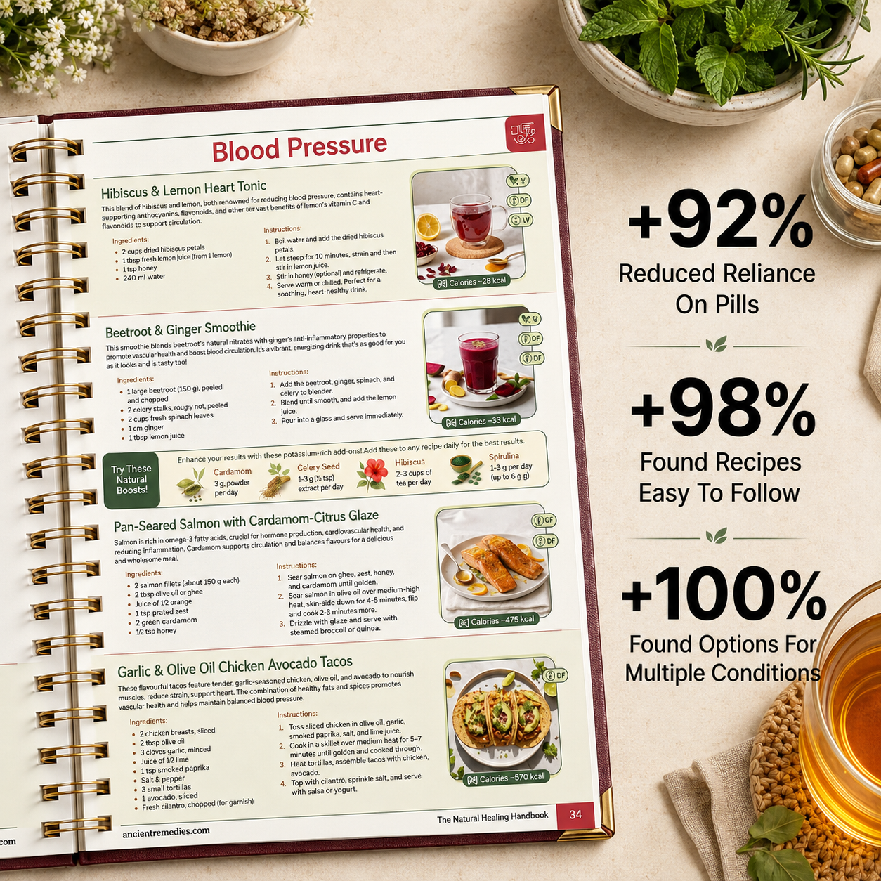 The Natural Healing Handbook