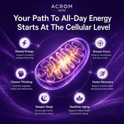 NMN Complex | Cellular Energy Formula