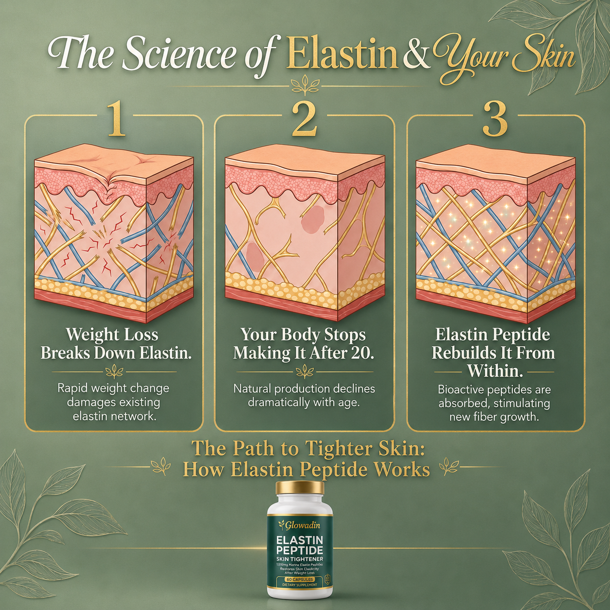 Elastin Peptide Skin Tightening Formula